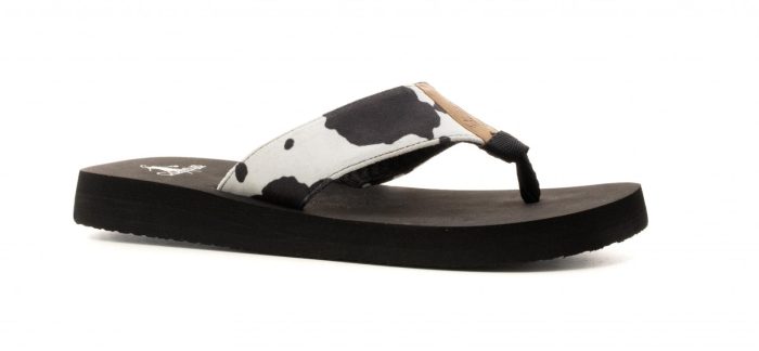 Corkys Cattle - Image 2